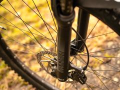 Focus Thron 6.8 2022 Grey