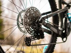 Focus Thron 6.8 2022 Grey