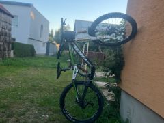 Trek session 8