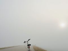 Cinzia Aluminum Car Bike