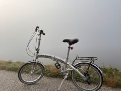 Cinzia Aluminum Car Bike