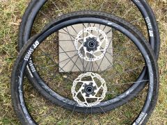 DT Swiss R23 splíne db disc