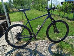 Radon ZR Team 8.0 29 22&quot;
