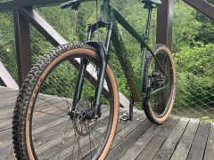 SP Cycle karbonovy hardtail L 29&quot;