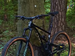Kellys Thorx 29 Custom