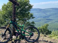 YT Industries Capra CF Pro Race 2016 27.5 M