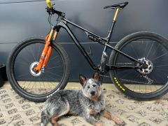 Ram s tlmicom lightcarbon, dt swiss
