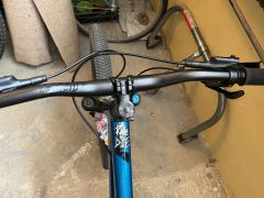 Kellys whip 50 2021