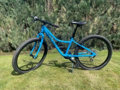 Naloo 24&quot; Chameleon