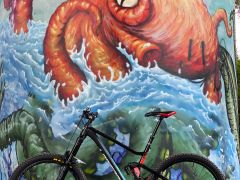 Lapierre spicy 3.0 custom