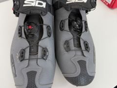 Sidi Tiger