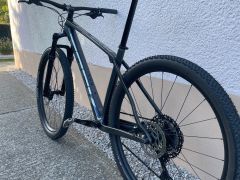 Trek Procaliber 9.6