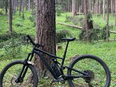 Specialized stumpjumper alloy 2021