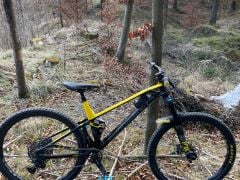 Mondraker foxy