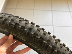 Schwalbe Big Betty Performance