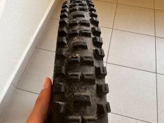 Schwalbe Big Betty Performance
