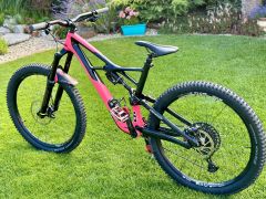 Specialized enduro pro