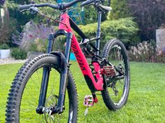 Specialized Enduro Pro FSR