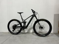 Trek Fuel ex-e custom