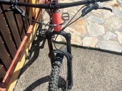 Canyon neuron  5 model 2024