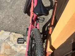 Canyon neuron  5 model 2024