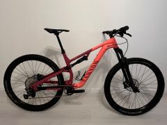 Canyon neuron 5