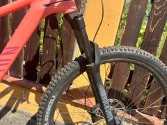 Canyon neuron  5 model 2024