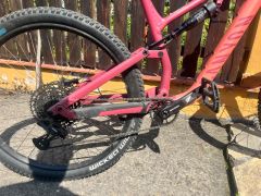 Canyon neuron  5 model 2024