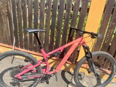 Canyon neuron  5 model 2024