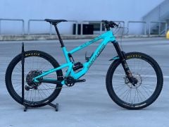 Santa Cruz Bronson