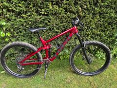 Trek Remedy 7