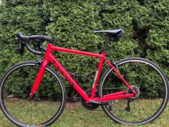 Canyon Endurace AL, S