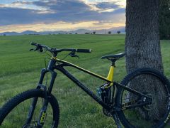 Mondraker foxy 2020