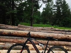 Mondraker Prime 29, veľkosť L