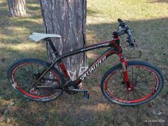 Specialized stumpjumper expert carbon