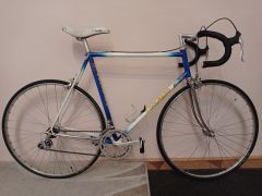 Colnago export