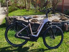 Multicycle Voyage Emi D elektro Golden Rose