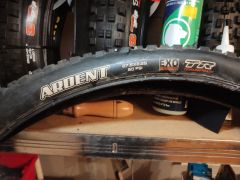 Maxxis ardent