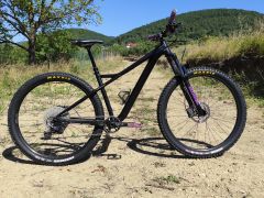 Orbea laufey H30