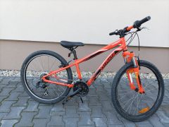 Specialized Hotrock 24&quot;