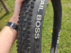 WTB Trail Boss Comp 29 x 2.4