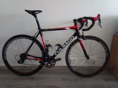 Colnago C59 team edition