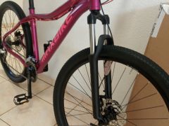 27.5&quot;Maxbike lady Disc hydo