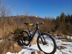 Scott Spark 910