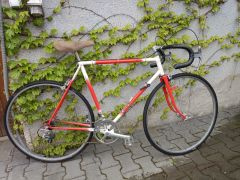 Favorit