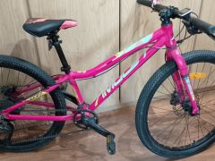 Amulet 24 Tomcat, pink shine