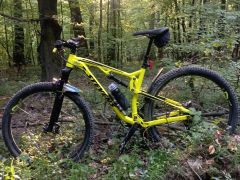 Stevens Jura 2020