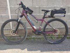 Dámsky elektrický bicykel CTM Ruby 29 &quot; M