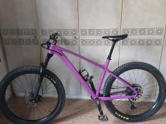 Trek Roscoe 8