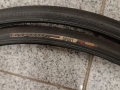Specialized Espoir sport 700x23 drôt